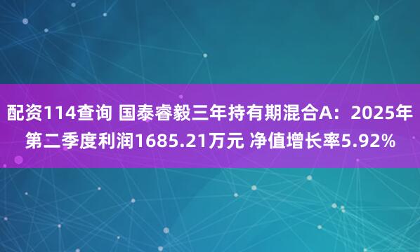 配资114查询 国泰睿毅三年持有期混合A：2025年第二季度利润1685.21万元 净值增长率5.92%