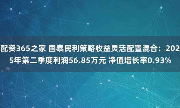 配资365之家 国泰民利策略收益灵活配置混合：2025年第二季度利润56.85万元 净值增长率0.93%