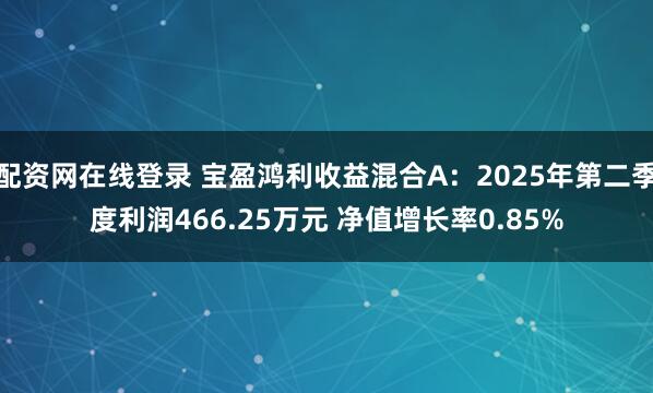 配资网在线登录 宝盈鸿利收益混合A：2025年第二季度利润466.25万元 净值增长率0.85%