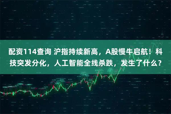 配资114查询 沪指持续新高，A股慢牛启航！科技突发分化，人工智能全线杀跌，发生了什么？